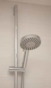 Bathroom shower detail 2